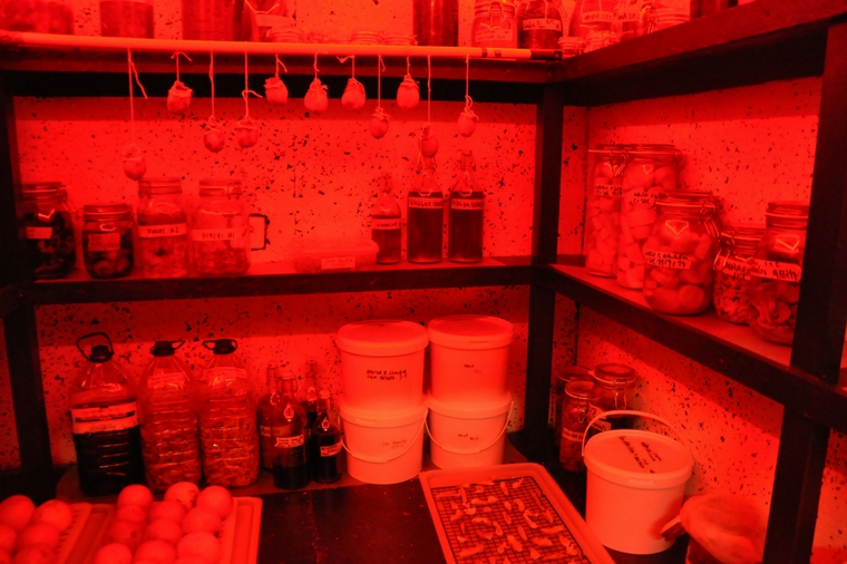 Por cima da cozinha existe uma câmara isolada de luz para fermentar alguns produtos. Foto: Vítor Alveirinho