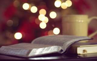 Meia dúzia de livros de gastronomia para ler e oferecer neste Natal.