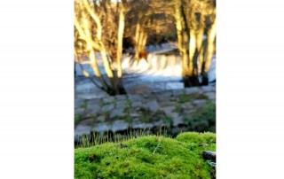 O sol sente-se através da janela e da minha janela vejo o mundo. Para lá do caos a que estou atenta mas que recuso, penso na juventude que me inspira e que me deixa com pele de galinha. Foto: OC