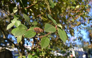 Há anos e anos que se fala de alterações climáticas, condições de trabalho justas, consciência ética e impacto ambiental. Foto: SA